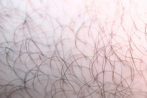 pubic hair